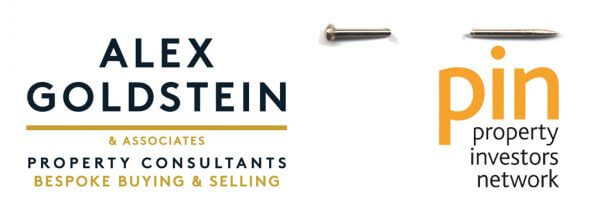 Alex Goldstein and PIN logo