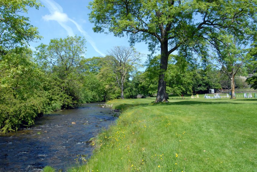 River alongside a horse paddock