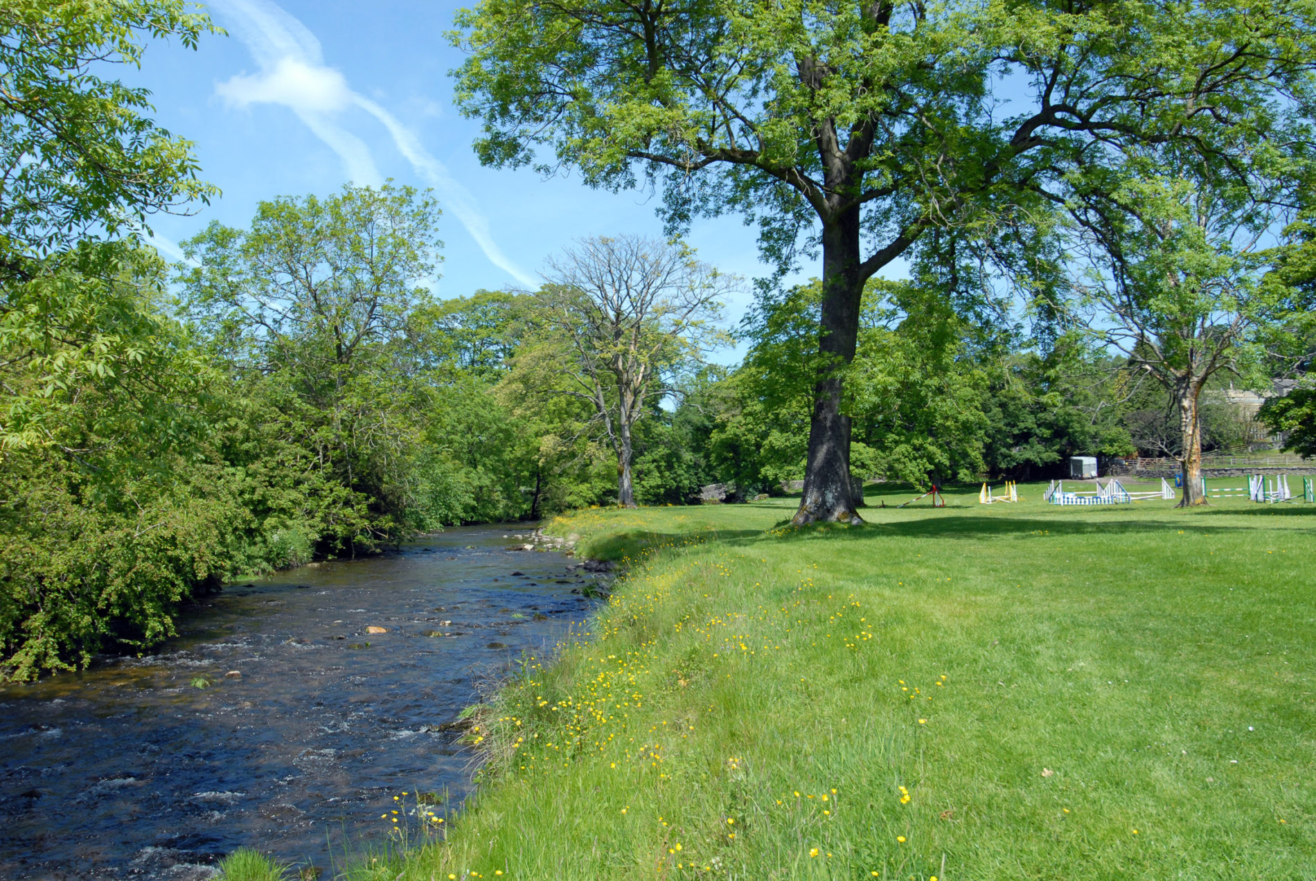 River alongside a horse paddock