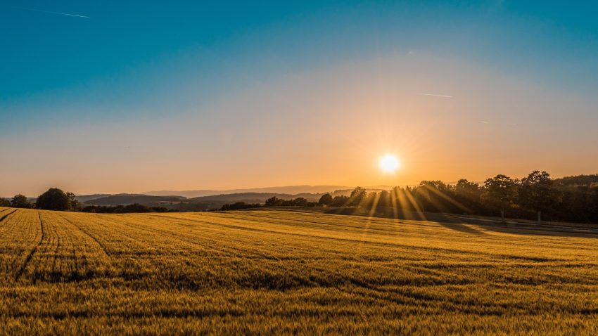Sunrise over a rural landscape